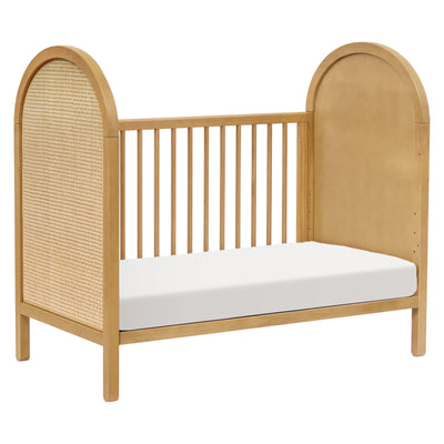 Bondi Cane 3-in-1 Convertible Crib | w/Toddler Bed Kit in Honey with Natural Cane