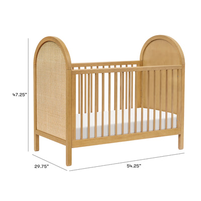 Bondi Cane 3-in-1 Convertible Crib | w/Toddler Bed Kit in Honey with Natural Cane