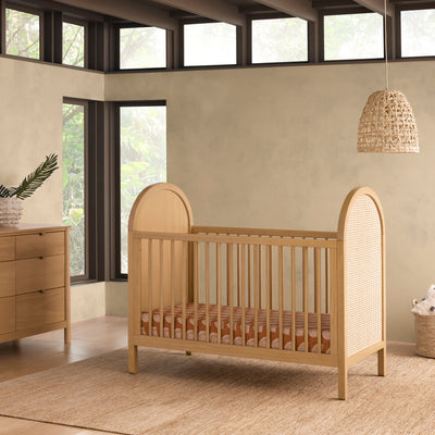 Bondi Cane 3-in-1 Convertible Crib | w/Toddler Bed Kit in Honey with Natural Cane
